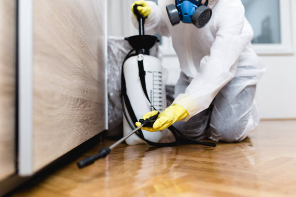 Best Pest Control Near Me  in Woodbridge, CA