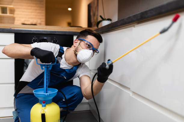 Best Pest Inspection Near Me  in Woodbridge, CA