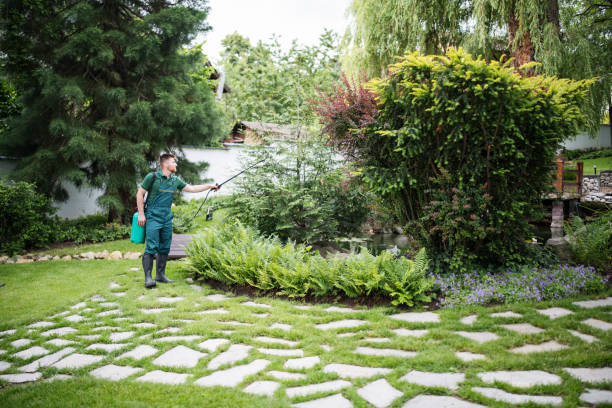 Best Pest Inspection Near Me  in Woodbridge, CA