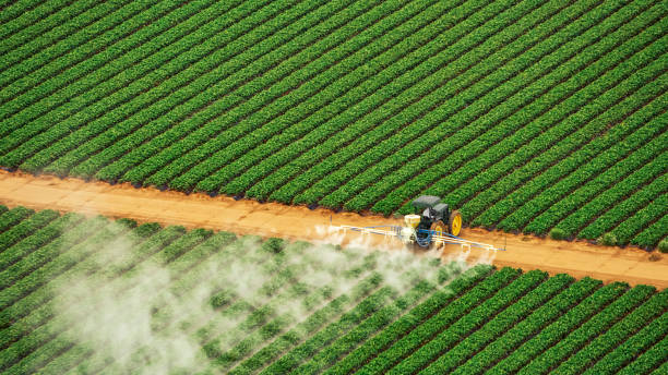Best Mosquito Control Services  in Woodbridge, CA