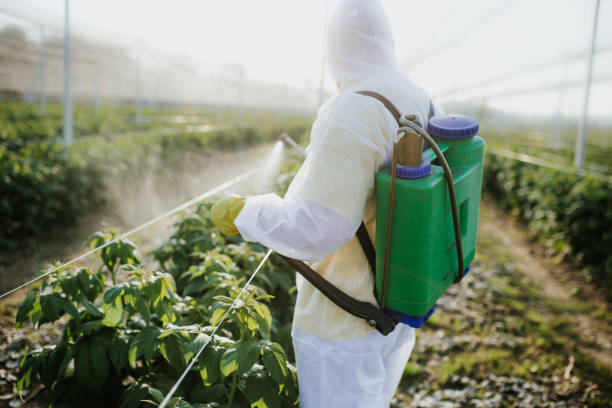 Pest Control Cost in Woodbridge, CA